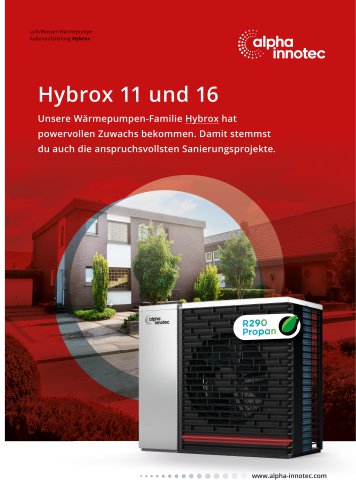 Flyer Hybrox 11 und 16