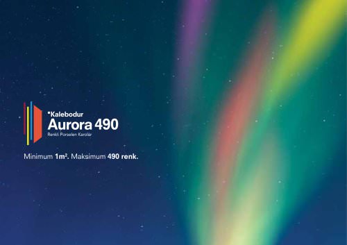 Aurora 490