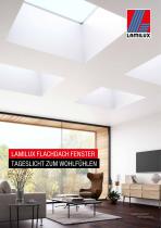 LAMILUX FLACHDACH FENSTER - 1