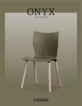 Onyx brochure - 1