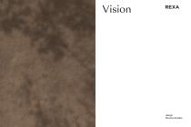 Vision-2