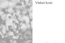 Vision-8