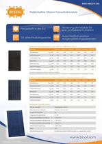 Polikristalline PV-Module Dattenblatt - 1