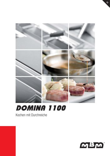 DOMINA 1100