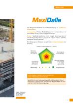 MaxiDalle - 3