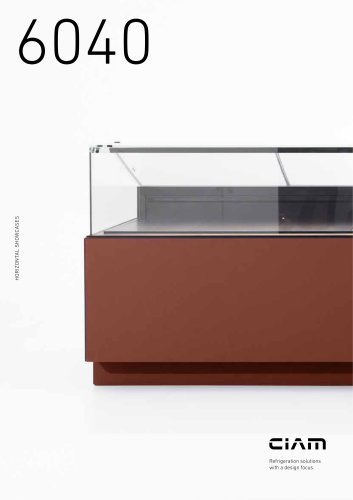 6040 HORIZONTAL SHOWCASES