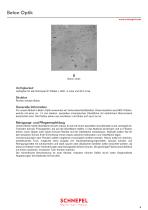 Dekorübersicht Schnepel - 3