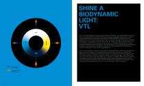 SHINE A LIGHT - 12