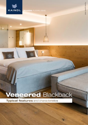 Veneered Blackback