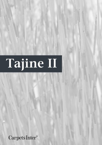 Tajine II