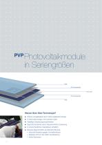 PVP Brochure - 10