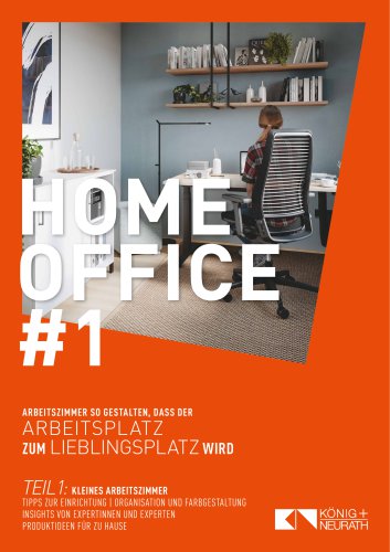 Homeoffice #1